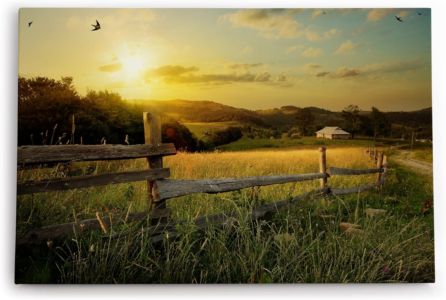 Paul Sinus Wandbild 120x80cm Landschaft Holzzaun Schwalben Sonnenuntergang Natur