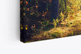 Paul Sinus Wandbild 120x80cm Wald Waldweg Bäume Sonnenstrahl Natur Herbst