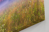 Sinus Art Wandbild 120x80cm Morgennebel über farbiger Wildblumenwiese – ideal für naturverbundene Raumgestaltung