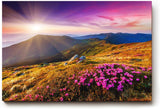 Sinus Art Wandbild 120x80cm Stimmungsvolles Landschaftsmotiv mit leuchtendem Himmel und blühender Wiese