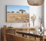 Paul Sinus Wandbild 120x80cm Afrikanische Landschaft Burkea Africana Bäume Steppe