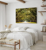 Paul Sinus Wandbild 120x80cm Baumallee Allee Bäume Straße Baumkrone Kunstvoll