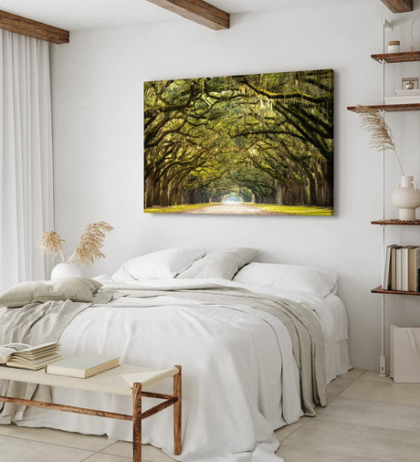 Paul Sinus Wandbild 120x80cm Baumallee Allee Bäume Straße Baumkrone Kunstvoll