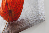 Sinus Art Wandbild 120x80cm Ruhiges Naturmotiv mit physalisähnlicher Blüte auf rustikalem Holzuntergrund