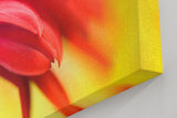 Sinus Art Wandbild 120x80cm Detailreiche Nahaufnahme roter Blütenblätter mit glitzerndem Tautropfen