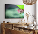 Paul Sinus Wandbild 120x80cm Lotosblume Blume Blüte Kunstvoll Lotos Rosa