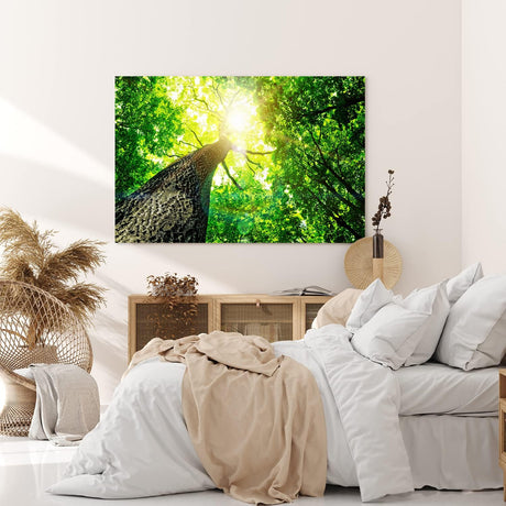 Paul Sinus Wandbild 120x80cm Baum Sonnenstrahlen Baumkrone Grün Natur