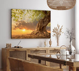 Wandbild 120x80cm Großer Baum Natur Sonnenuntergang Wurzeln Wolken