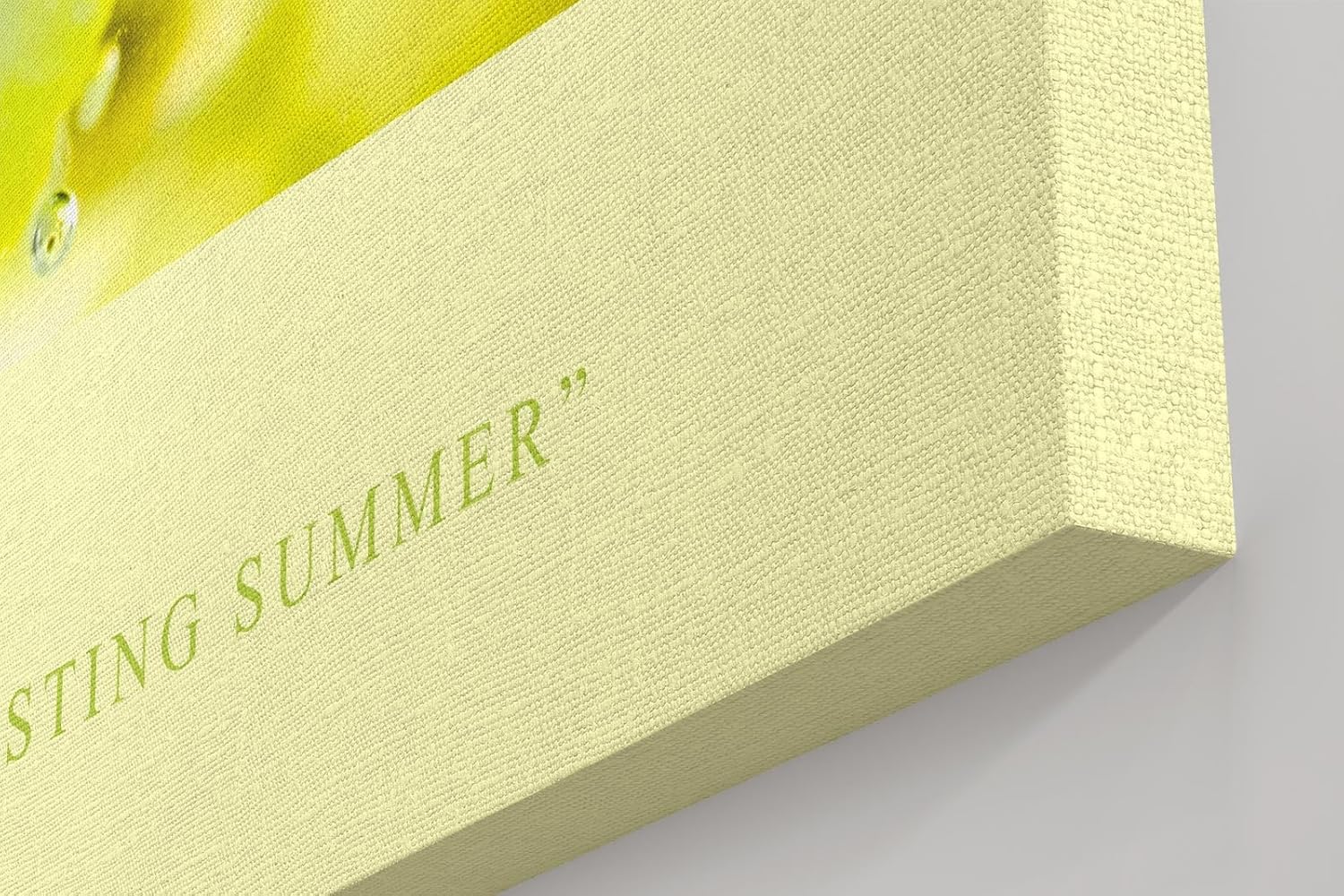 Paul Sinus Kunstdruck 40x60cm Refresh – Zitrone und Limette mit Eis und Sprudel im Makro