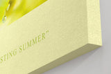 Paul Sinus Kunstdruck 40x60cm Refresh – Zitrone und Limette mit Eis und Sprudel im Makro