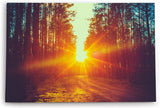 Paul Sinus Wandbild 120x80cm Sonnenuntergang Sonnenstrahl Wald Bäume Natur