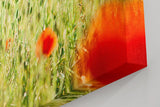 Sinus Art Wandbild 120x80cm Rote Mohnblumen im weichen Gegenlicht – luftig, lebendig und romantisch