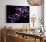 Paul Sinus Wandbild 120x80cm Dunkele Orchidee Blume Blüte Schwarz Fotokunst