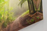 Sinus Art Wandbild 120x80cm Faszinierender Waldweg mit mystischem Nebel für Ruhe und Tiefe in jedem Raum
