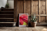 Paul Sinus Kunstdruck 40x60cm Flame Bloom Rote Blume Wassertropfen Makro Nahaufnahme Detail