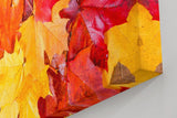 Sinus Art Wandbild 120x80cm Vielfältige Ahornblätter in leuchtenden Gelb- und Rottönen in Nahaufnahme