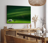 Wandbild 120x80cm Grüne Landschaft Baum Wiese Gras Hügel Baumblüte