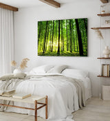 Paul Sinus Wandbild 120x80cm Wald Bäume Sonnenstrahlen Natur Sommer Grün