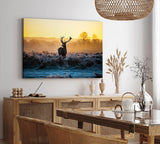 Paul Sinus Wandbild 120x80cm Hirsch Geweih Natur Morgentau Sonnenaufgang Natur