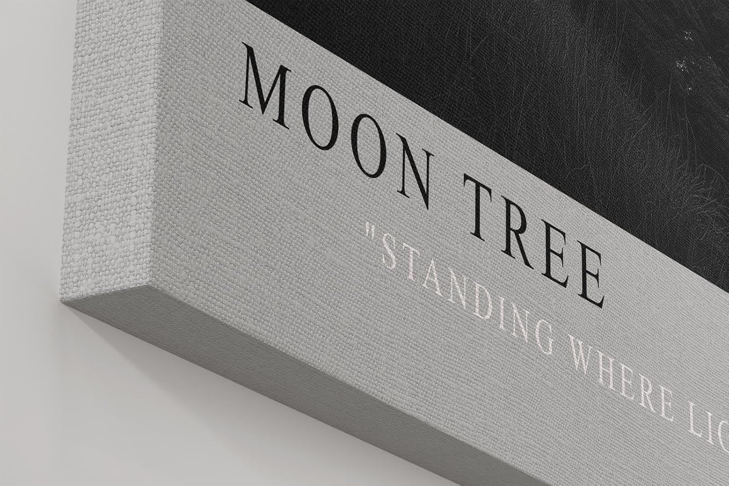 Paul Sinus Wandbild in 40x60cm Moon Tree – stimmungsvolle Schwarz-Weiß-Landschaft mit Baum am Ufer im Mondlicht
