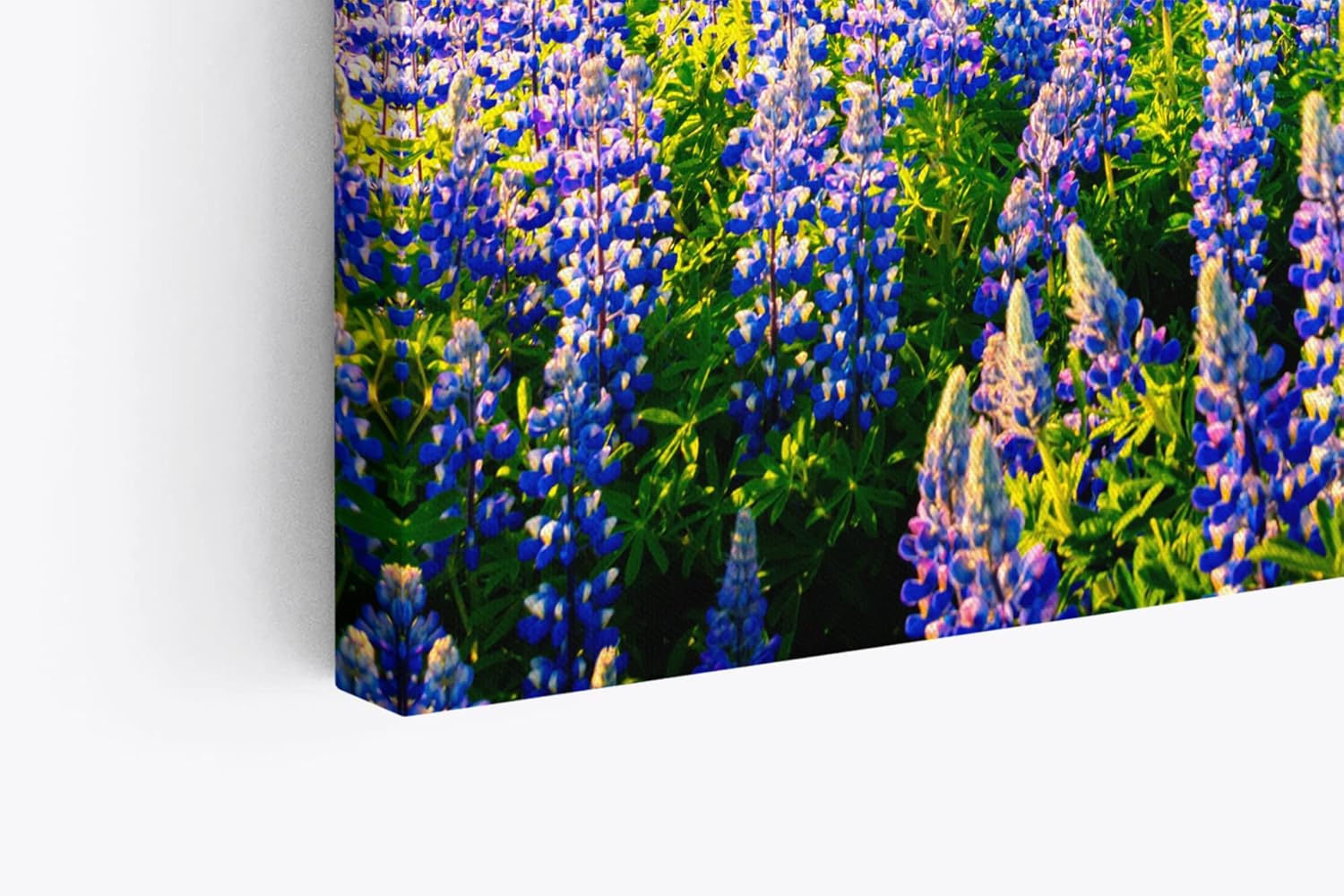Paul Sinus Wandbild 120x80cm Island Landschaft Berg Blumen Blau See Natur