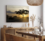 Paul Sinus Wandbild 120x80cm Burkea Bäume Afrika Sonnenuntergang Natur Wildnis