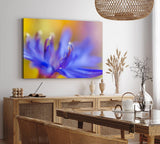Paul Sinus Wandbild 120x80cm Blume Blüte Orchidee Nahaufnahme Makrofotografie