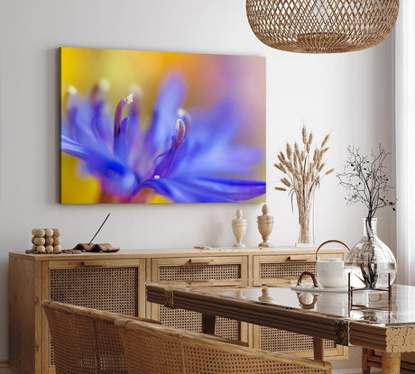 Paul Sinus Wandbild 120x80cm Blume Blüte Orchidee Nahaufnahme Makrofotografie