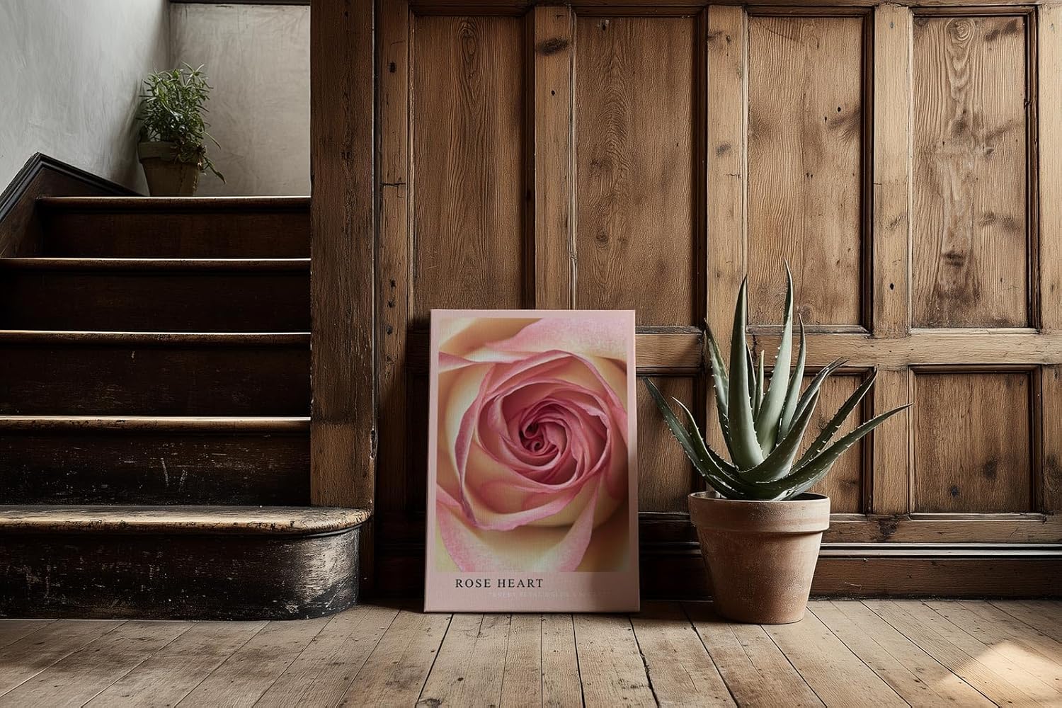 Paul Sinus Kunstdruck 40x60cm Rose Heart – Die Poesie der Rose in zartem Zentrum