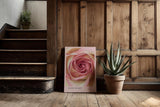 Paul Sinus Kunstdruck 40x60cm Rose Heart – Die Poesie der Rose in zartem Zentrum