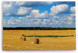 Paul Sinus Wandbild 120x80cm Weizenfeld Weizenernte Feld Natur weiße Wolken