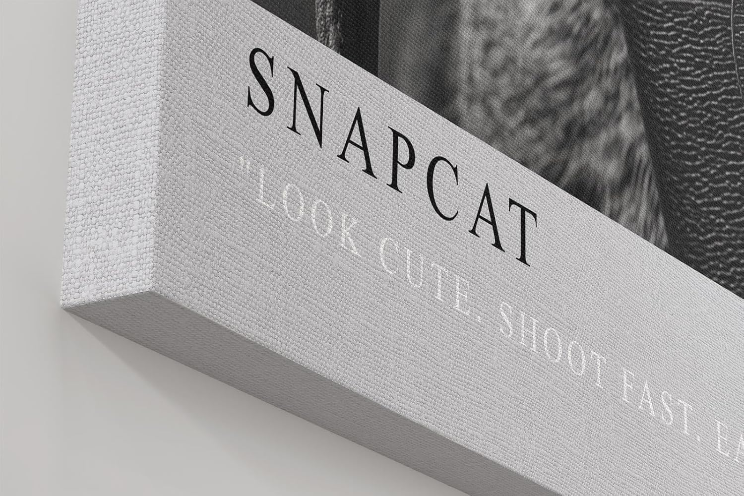 Paul Sinus Wandbild in 40x60cm Snapcat – Humorvolles Katzenporträt in Schwarz-Weiß mit Kamera und Fliegerbrille