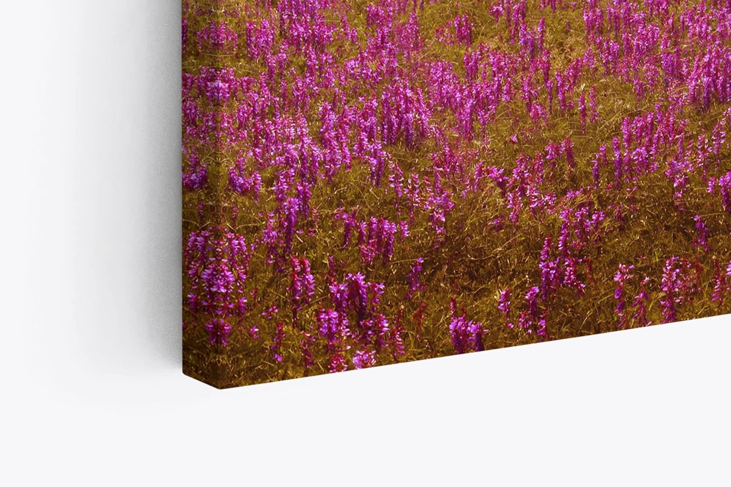 Paul Sinus Wandbild 120x80cm Blumenfeld Wildblumen Feld Blumen Lavendel
