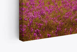 Paul Sinus Wandbild 120x80cm Blumenfeld Wildblumen Feld Blumen Lavendel