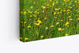 Paul Sinus Wandbild 120x80cm Landschaftsbild Wiese Bäume Natur Sommer blauer Himmel