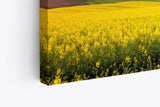 Paul Sinus Wandbild 120x80cm Landschaft Felder Himmel Natur Gelb Horizont