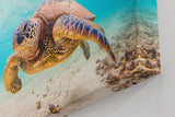 Sinus Art Wandbild 120x80cm Detailreiche Aufnahme einer Schildkröte im klaren Ozean für entspannte Raumwirkung