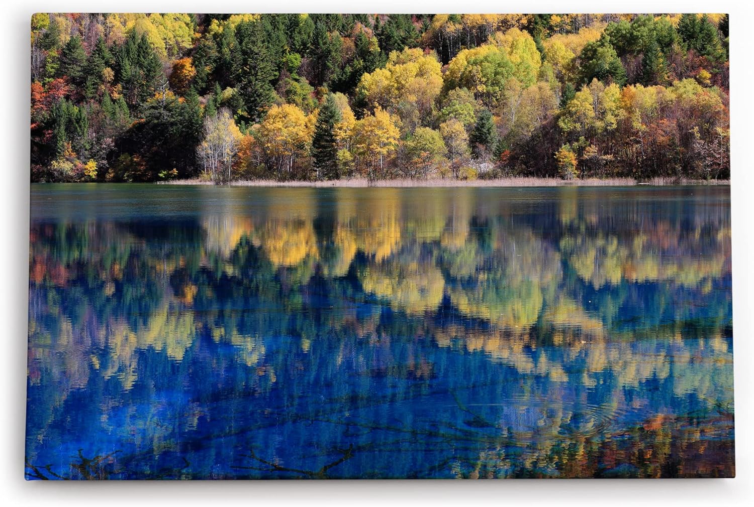 Paul Sinus Wandbild 120x80cm Bergsee Natur Wasser Bäume Sommer See