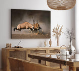 Paul Sinus Wandbild 120x80cm Spießbock Antilope Afrika Wildnis Hörner Tierfotografie