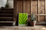 Paul Sinus Kunstdruck 40x60cm Green Design mit Makroaufnahme eines grünen Blattes