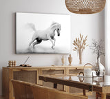 Paul Sinus Wandbild 120x80cm Weißes Pferd Wildpferd Schwarz Weiß Fotokunst