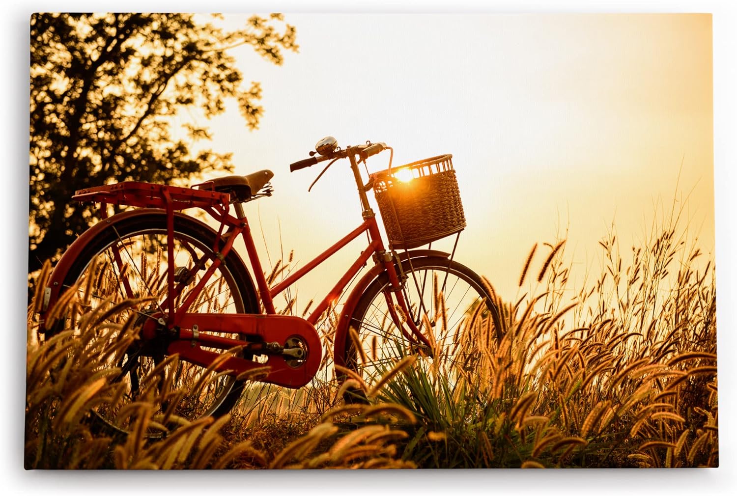 Paul Sinus Wandbild 120x80cm Vintage Fahrrand im Feld Sommer Sonnenuntergang Weizenfeld