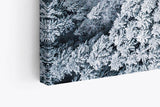 Paul Sinus Wandbild 120x80cm Wald aus der Vogelperspektive Tannenwald Waldstraße Schnee Winter