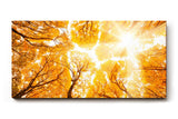 Sinus Art Wandbild 120x80cm Faszinierender Blick durch herbstlich gefärbte Baumwipfel in warmem Licht