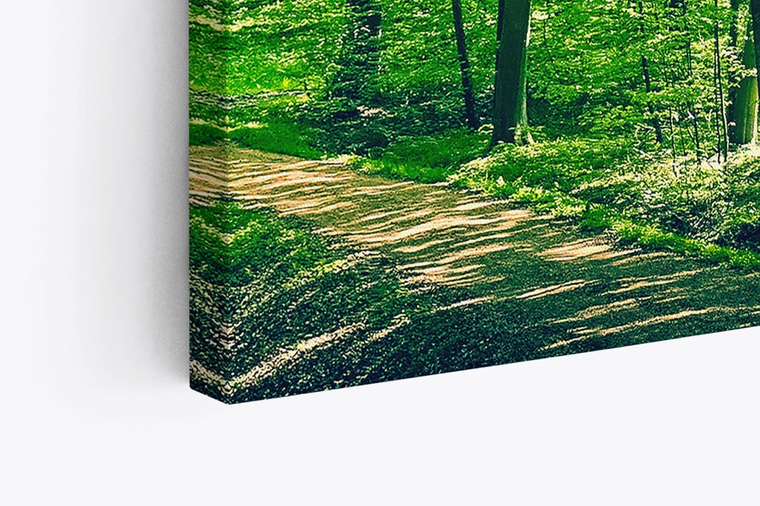 Paul Sinus Wandbild 120x80cm Wald Bäume Natur Grün Waldweg Sonnenschein