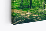 Paul Sinus Wandbild 120x80cm Wald Bäume Natur Grün Waldweg Sonnenschein