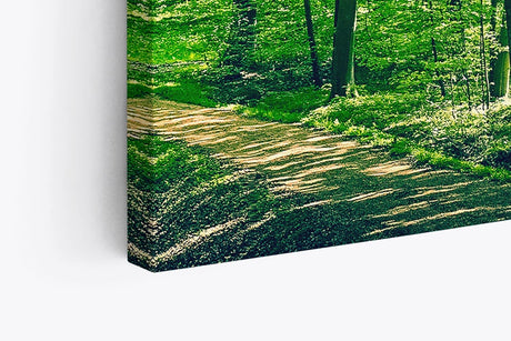 Paul Sinus Wandbild 120x80cm Wald Bäume Natur Grün Waldweg Sonnenschein