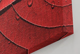Sinus Art Wandbild 120x80cm Perfektes Motiv für alle, die grafische Naturästhetik mit Eleganz verbinden