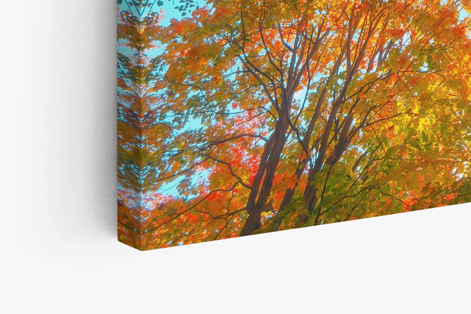 Paul Sinus Wandbild 120x80cm Baumkrone in Herzform Herbstblätter Herbst blauer Himmel