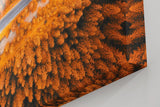 Sinus Art Wandbild 120x80cm Herbstlicher Mischwald mit elegant geschwungener Straße in Luftaufnahme